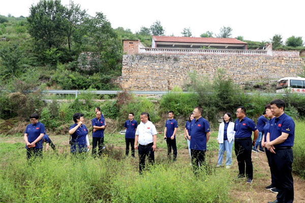 专家组在北柴胡生态种植模式试验基地展开讨论 专家组在北柴胡生态种植模式试验基地展开讨论