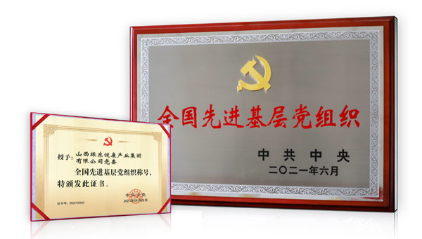 J9集团党委荣获“全国先进基层党组织” J9集团党委荣获“全国先进基层党组织”