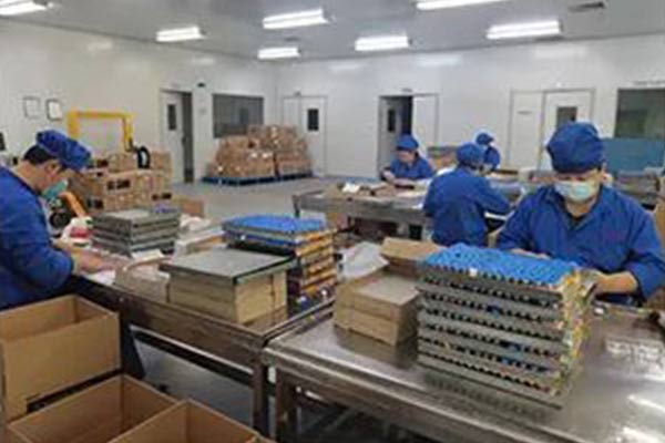 J9集团-国际站最新官网