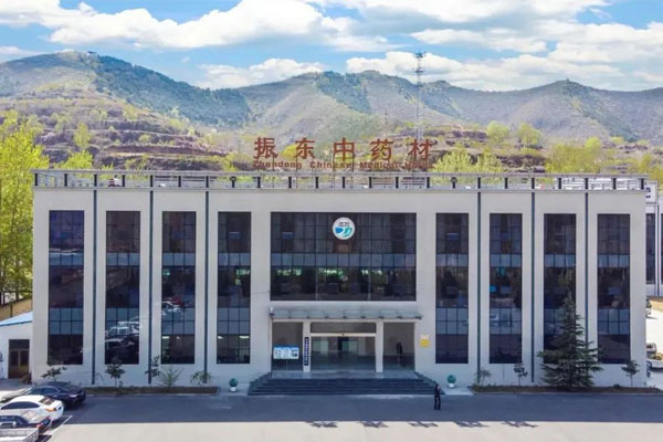 J9集团中药材