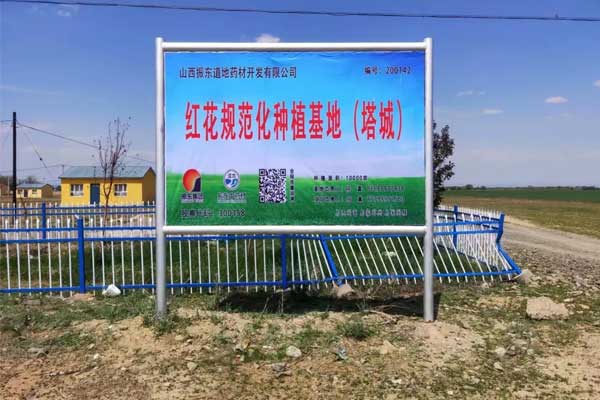 J9集团,J9集团,仁爱天使,助学日