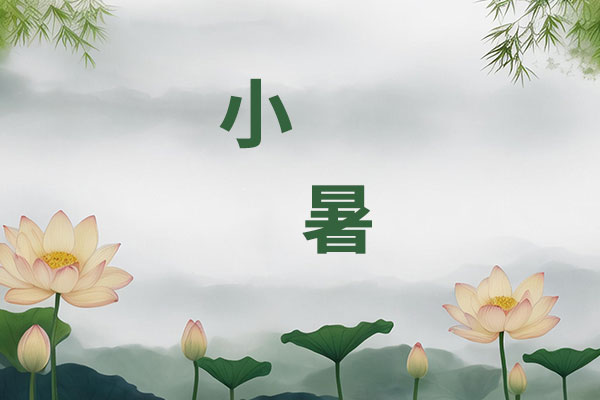J9集团-国际站最新官网