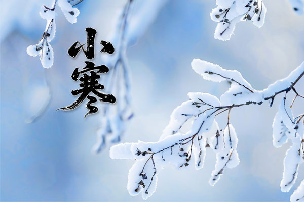 J9集团-国际站最新官网